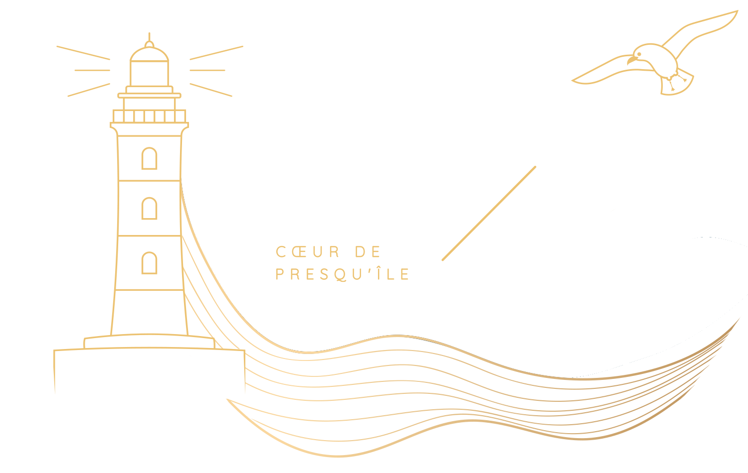 Baie 360 à Saint-Pierre-Quiberon par Sopic
