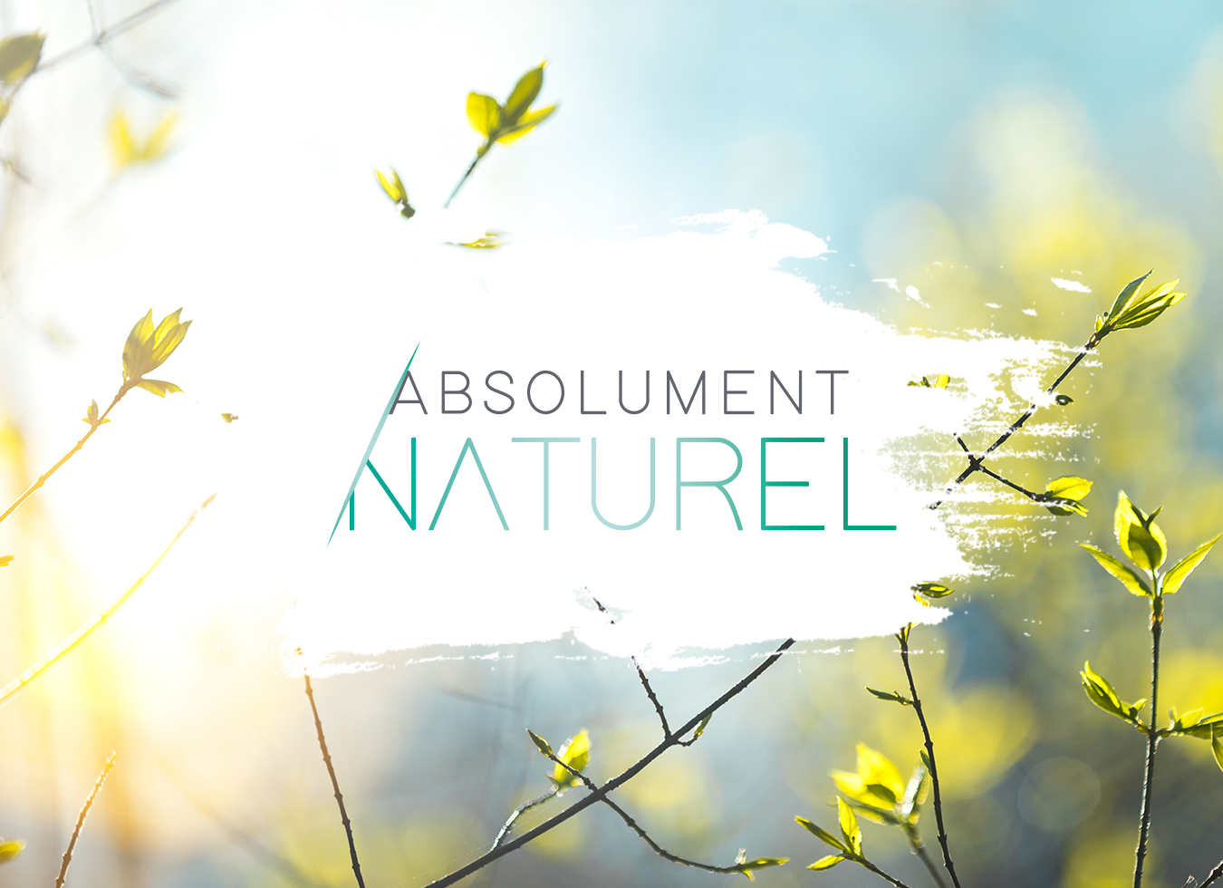 Absolument Naturel