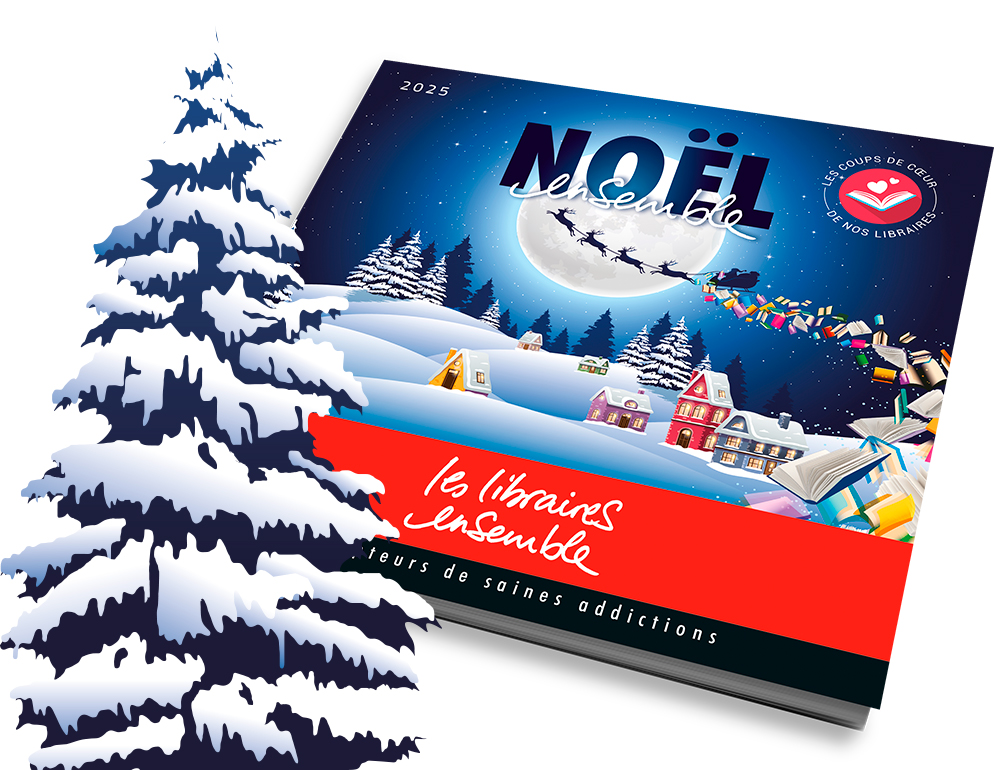 Une livraison de lectures arrive pour Noël !