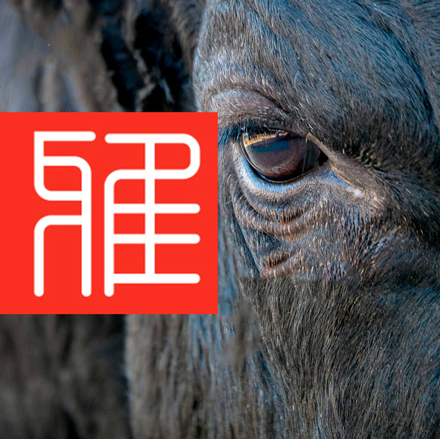 Miyabi, saveurs et textures raffinées