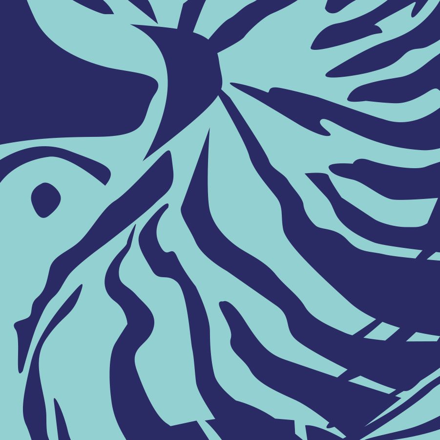 Paddle design