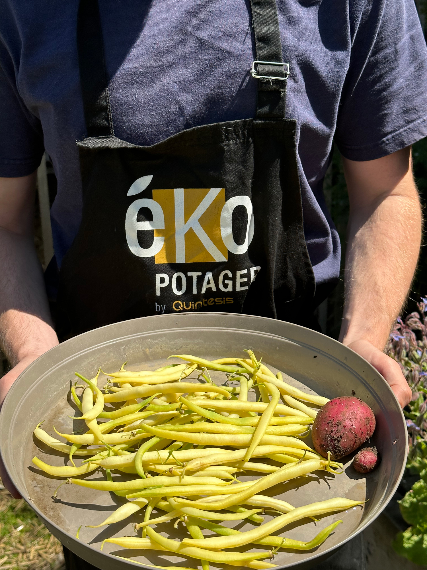 L’éKo Potager, notre potager d’entreprise en permaculture